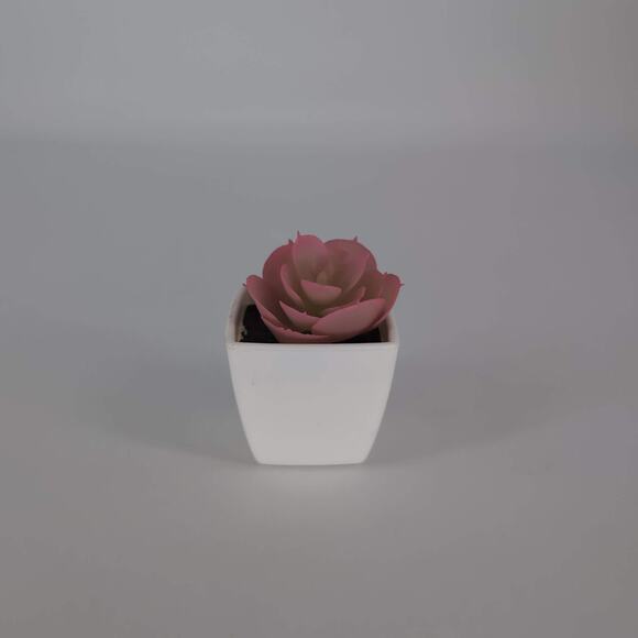 Mini Fake Faux Artificial Pink Succulent Potted Plant in Plastic White Pot - GUC - Picture 2 of 9